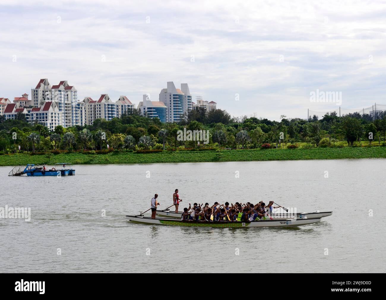 Squadre di canottaggio in competizione a Marina Bay, Singapore. Foto Stock