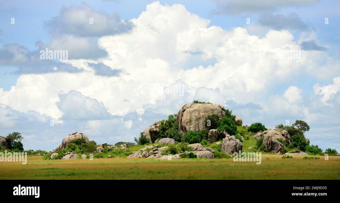 Paesaggio pittoresco nel Serengeti, Tanzania. Foto Stock
