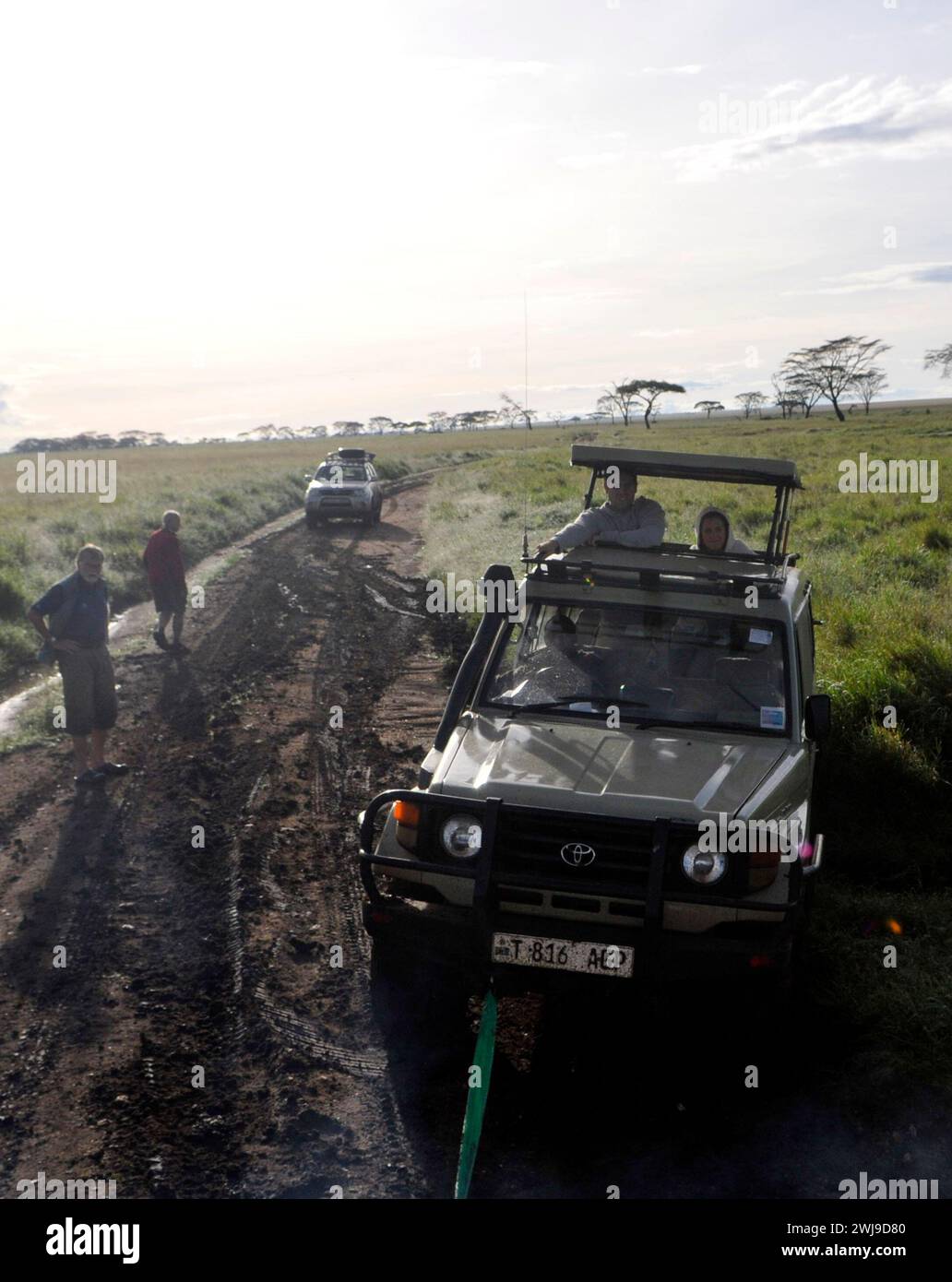 Tirare una jeep da safari bloccata in un fiume fangoso nel Parco Nazionale del Serengeti in Tanzania. Foto Stock