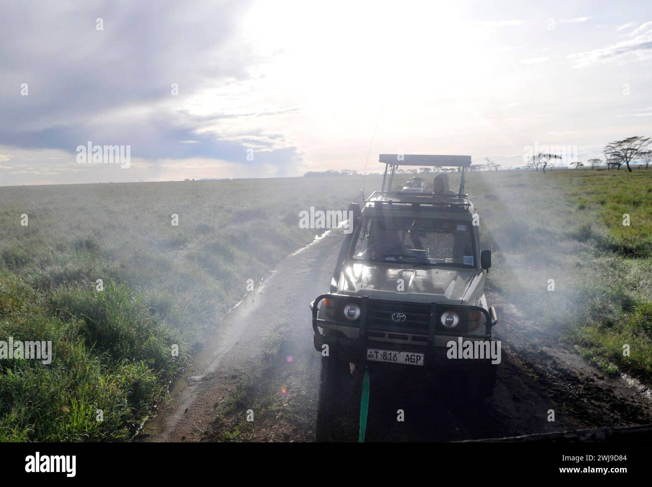 Tirare una jeep da safari bloccata in un fiume fangoso nel Parco Nazionale del Serengeti in Tanzania. Foto Stock