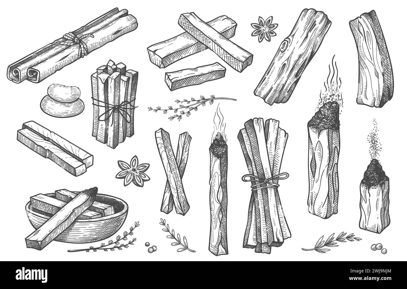 Palo santo si attacca. Bastoncino aromi disegnato a mano, elementi rituali e simboli sacri per stregoneria, legno aromaterapico boho. Raccolta vettoriale Illustrazione Vettoriale