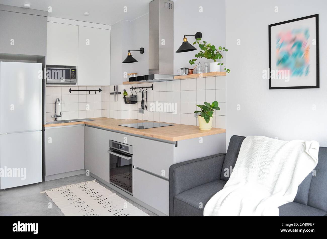 Piccolo appartamento moderno in stile scandinavo, con arredi in stile moderno, nei colori bianco e grigio, nell'area soggiorno e nella zona cucina Foto Stock