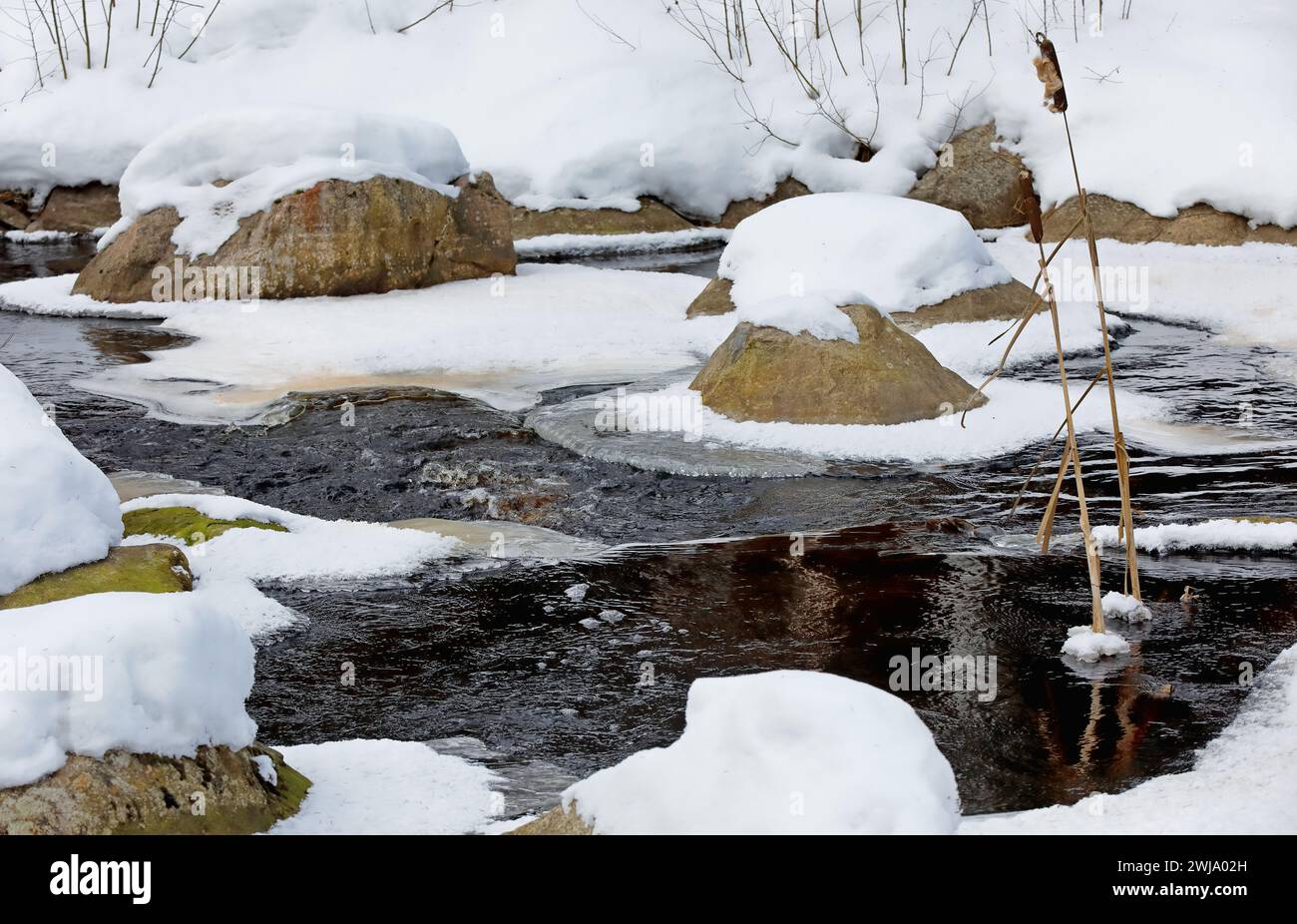 Pietre innevate nel piccolo fiume in inverno Foto Stock