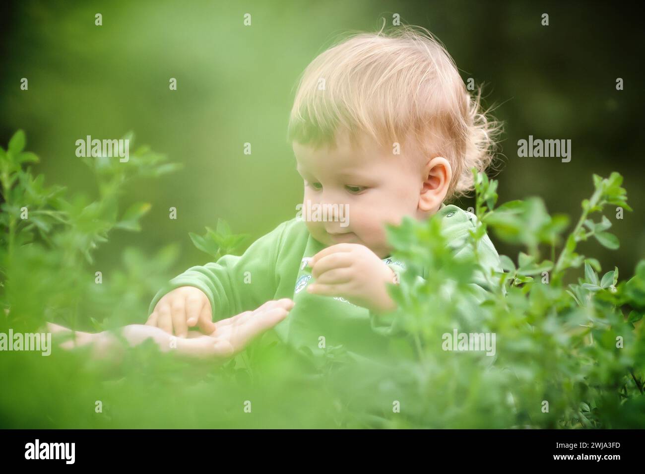 Il bambino che ride si diverte seduto sull'erba durante il giorno di sole. Ora legale, bambino felice Foto Stock