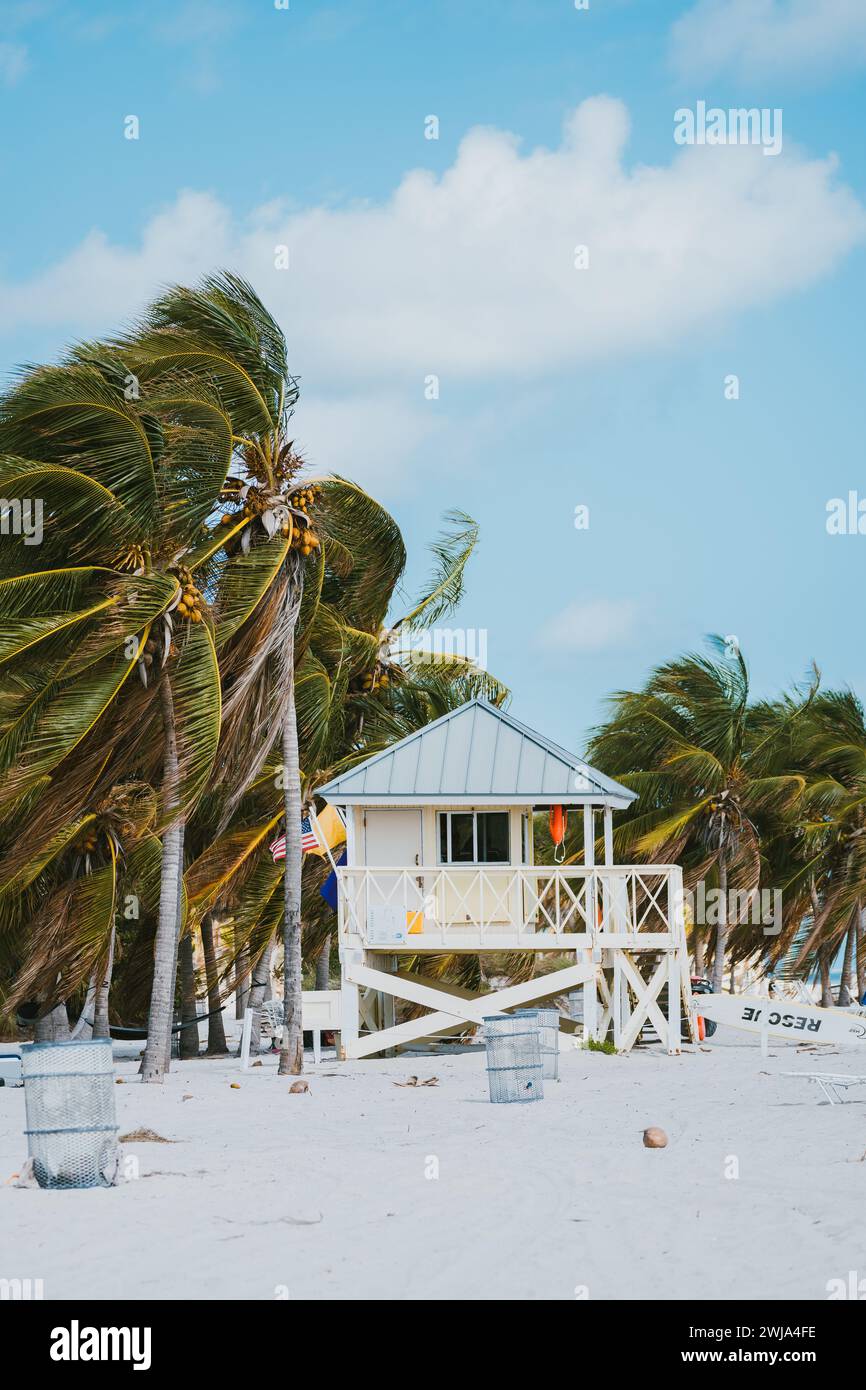 Una pittoresca torre bagnino sorge circondata da lussureggianti palme su una tranquilla spiaggia di Miami in Florida, Stati Uniti, che mostra una classica scena costiera. Foto Stock