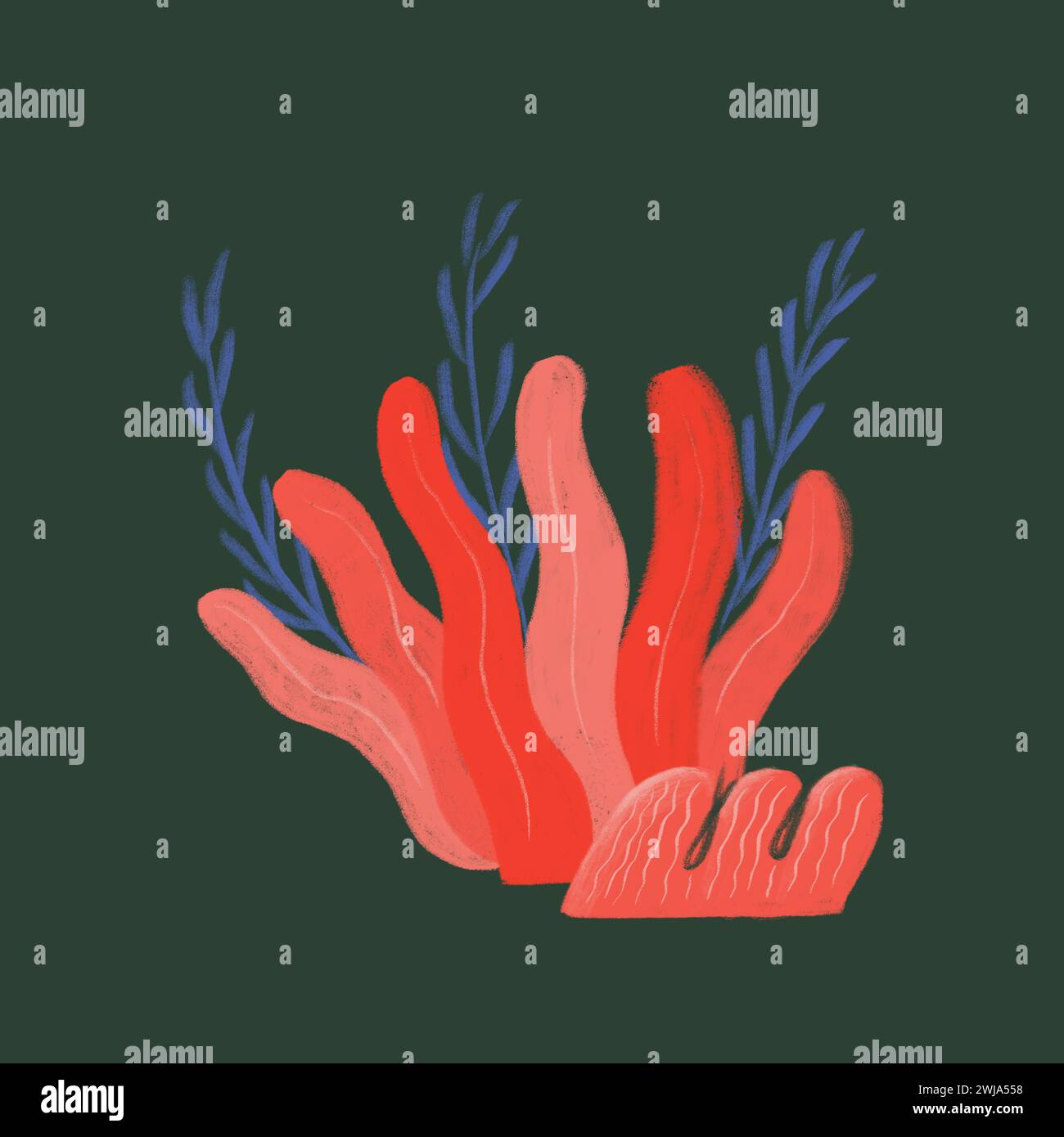 Forme astratte di corallo rosso disegnate digitalmente con accenti di alghe blu su sfondo scuro, ideali per progetti a tema marino. Foto Stock