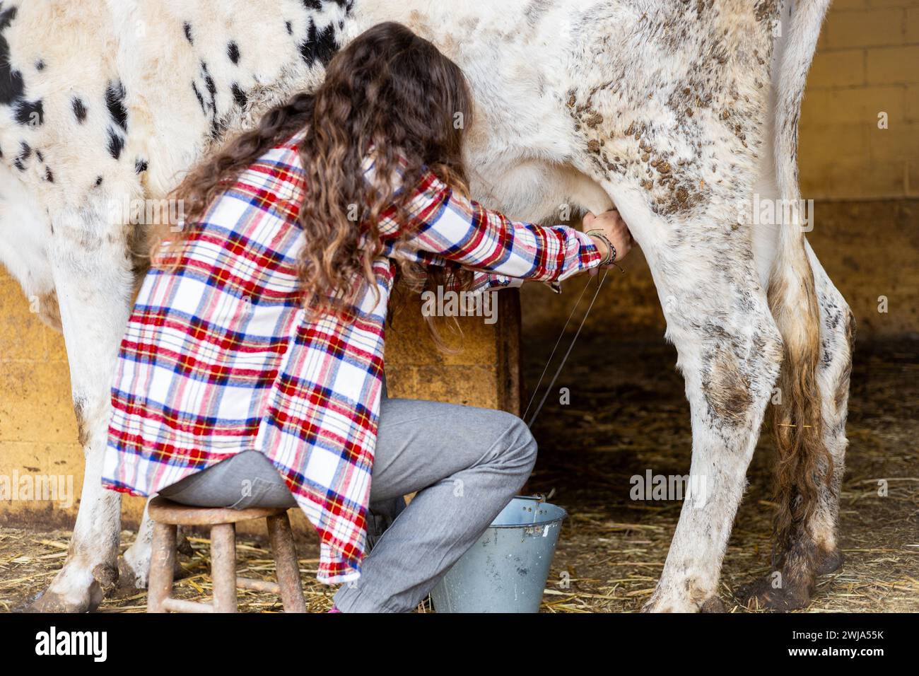 Giovane contadina che munge manualmente una mucca da latte. Benessere e cura degli animali in un'azienda agricola biologica. Foto Stock