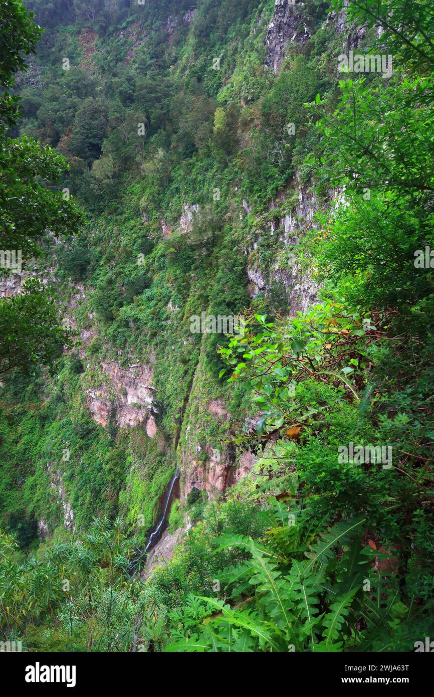 Una vista del salto del Arroyo del Cedro, la cascata più alta delle Isole Canarie, annidata nella lussureggiante vegetazione di Hermigua, la Gomera Foto Stock