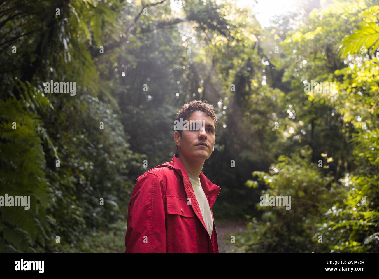 Giovane adulto con una giacca rossa che esplora una fitta foresta verde, piena di un senso di meraviglia. Foto Stock