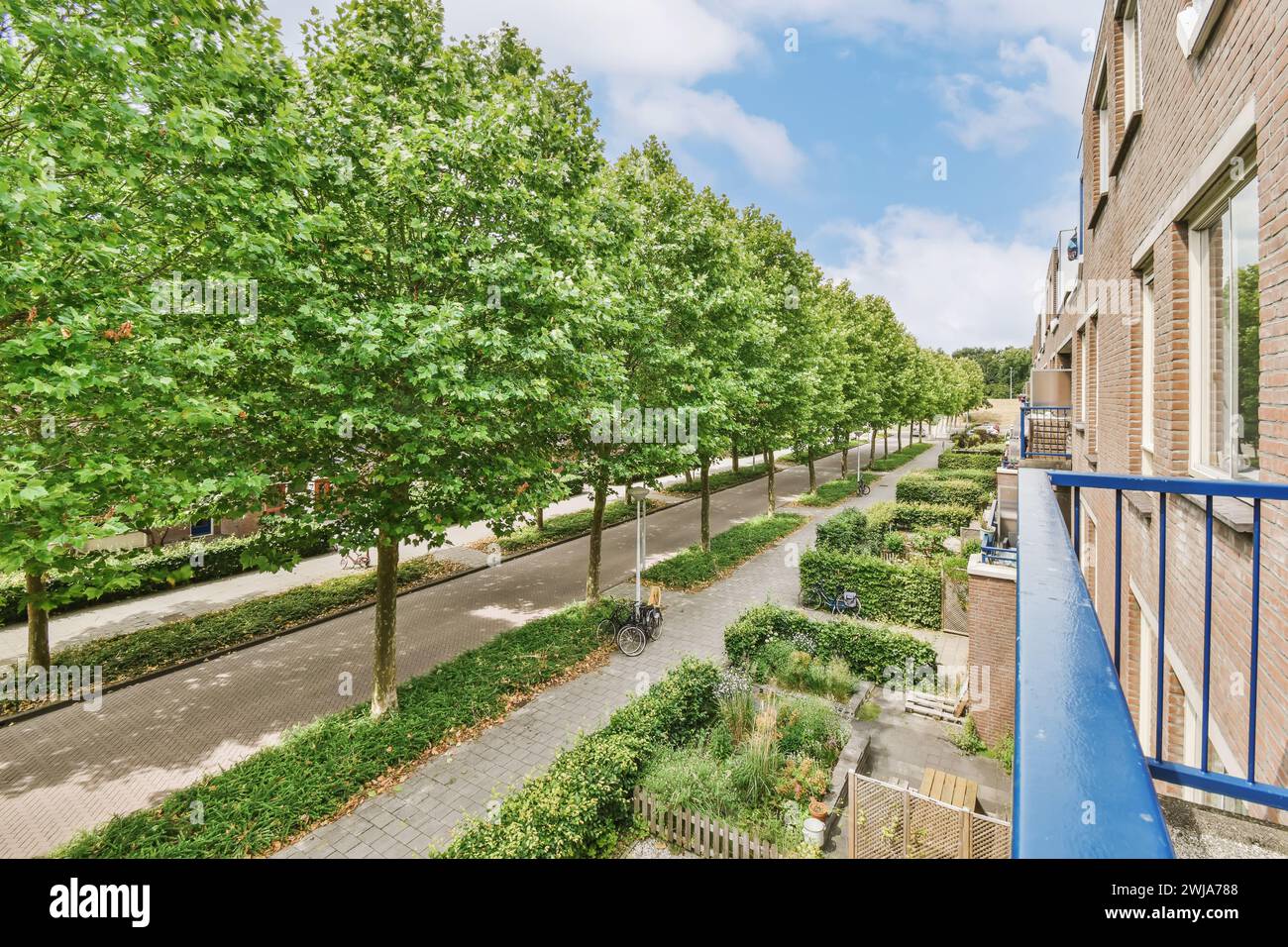 Una vista sopraelevata di una tranquilla strada suburbana con alberi verdeggianti e condomini residenziali in una giornata di sole Foto Stock