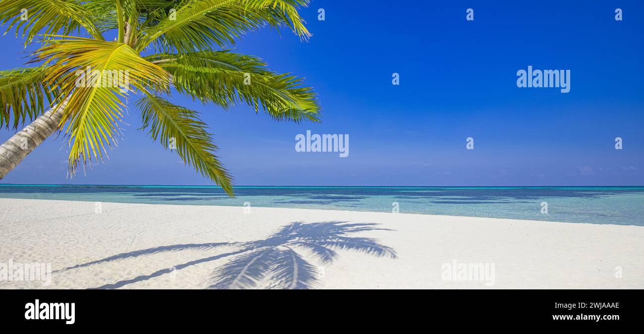 Sullo sfondo tropicale dell'hotel resort sulla spiaggia, con un paesaggio estivo con sedie a sdraio e palme in raggi solari, mare calmo per striscioni sulla spiaggia. Vacanza di lusso Foto Stock