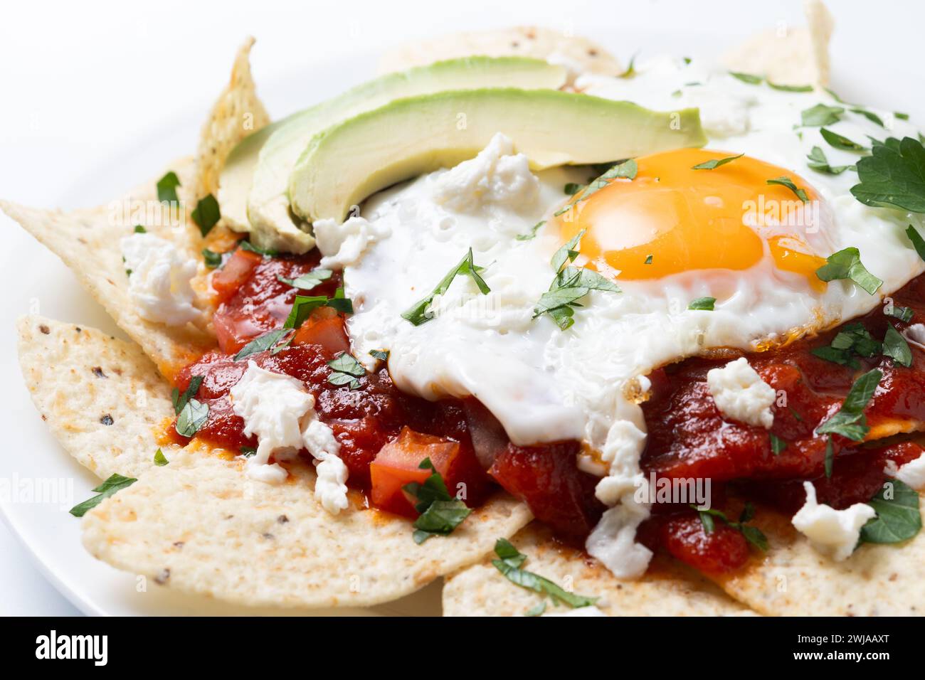Tradizionale colazione messicana con chilaquile rosse con uova isolate su sfondo bianco Foto Stock