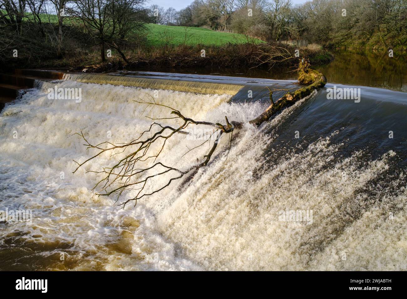 Burrs Country Park Bury weir sul fiume Irwell con alberi caduti intrappolati in cima a cascate d'acqua Foto Stock