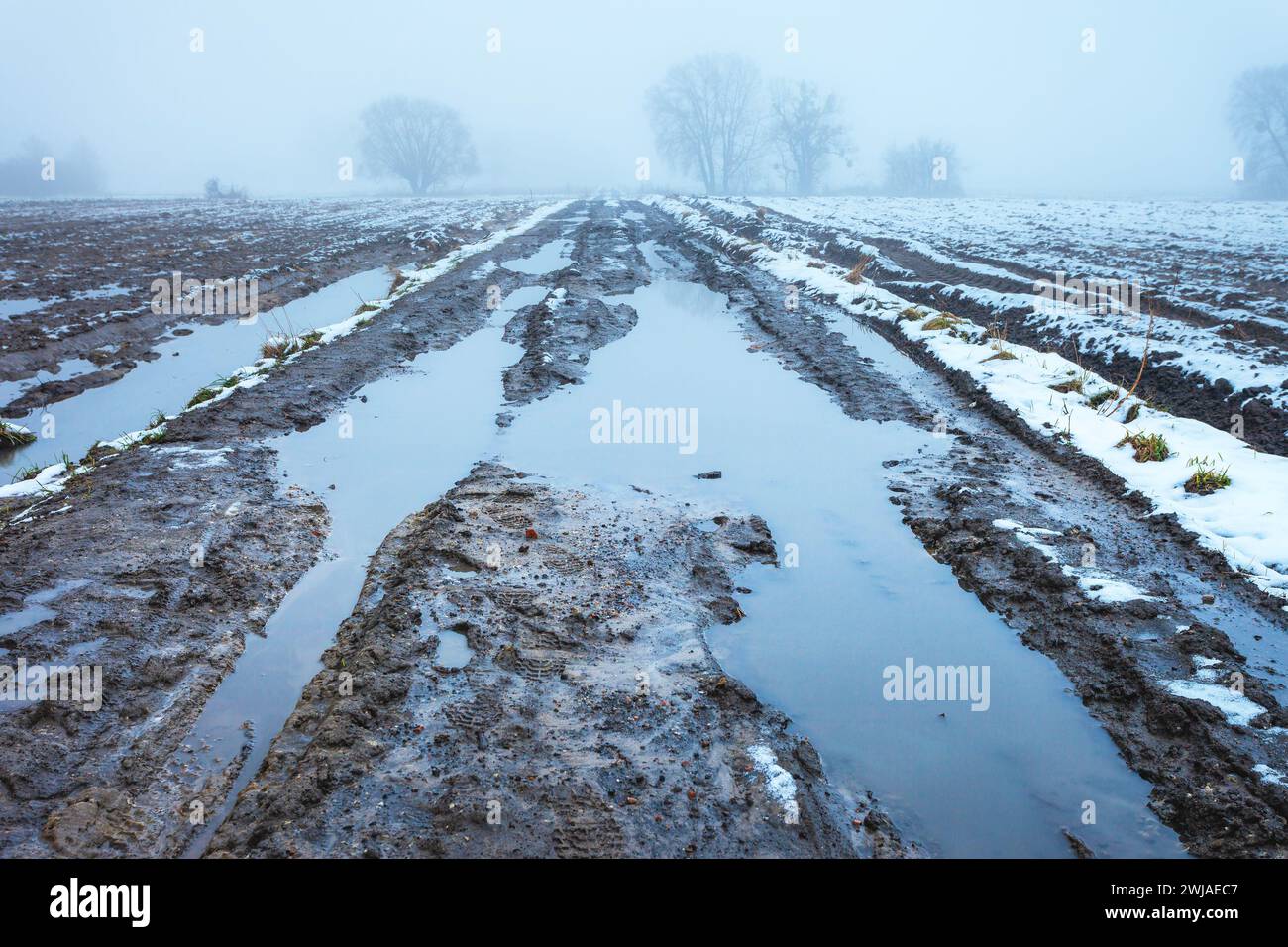 Acqua e fango su strade sterrate e campi in una giornata nebbiosa, nel pomeriggio di febbraio Foto Stock