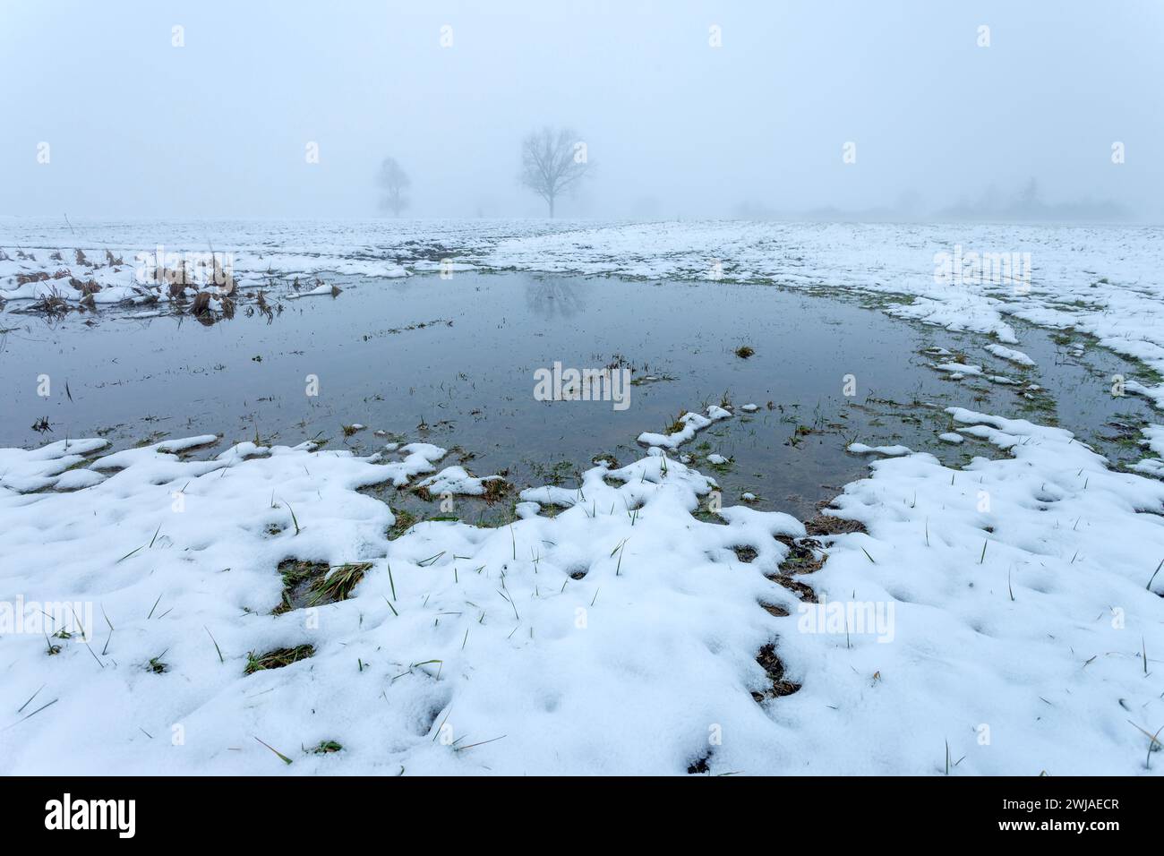 Acqua e neve che si scioglie in un campo agricolo, vista in un giorno nebbioso di febbraio Foto Stock