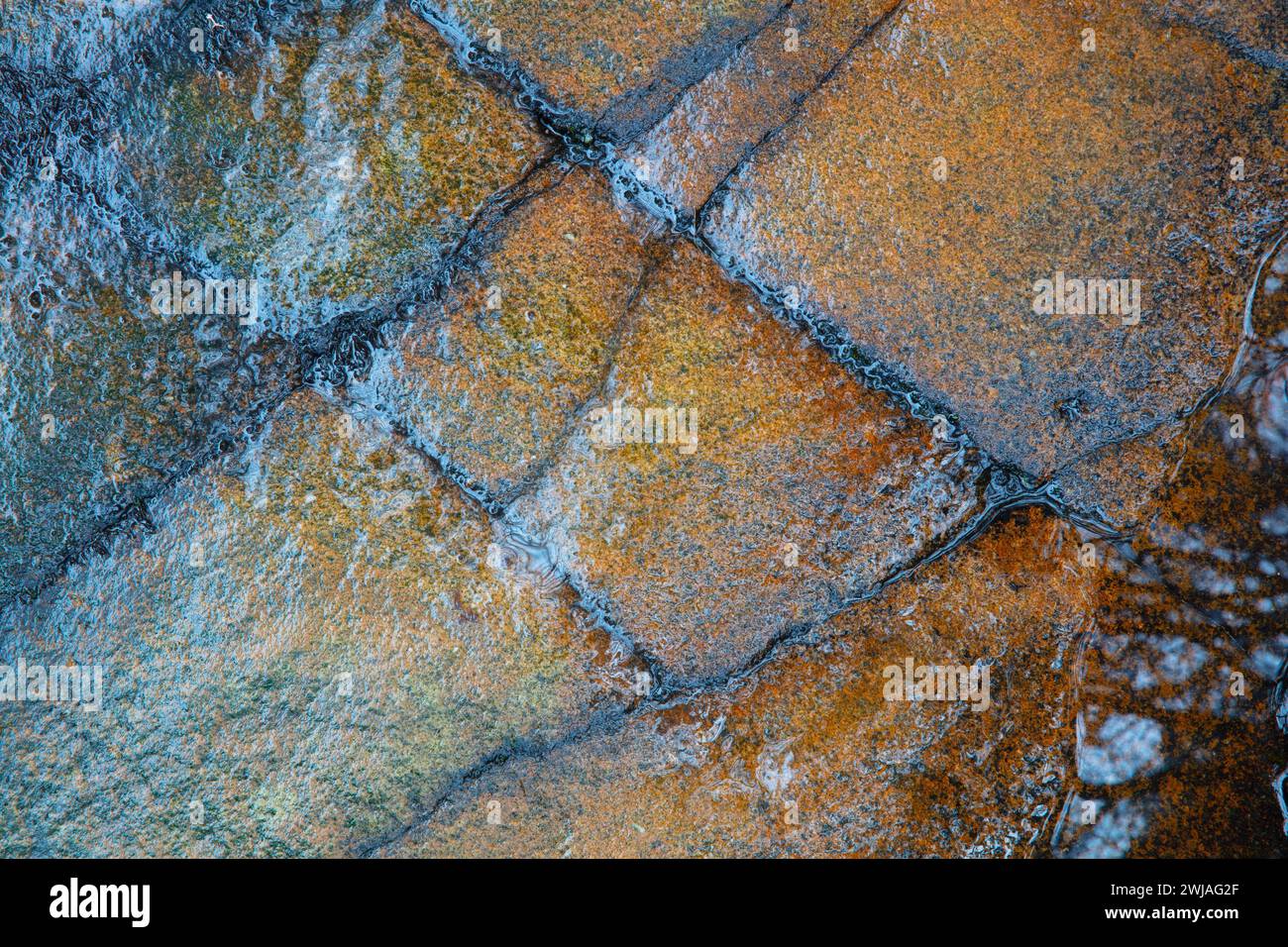Immagine astratta della roccia bagnata, Hamsterley Forest, Inghilterra, Regno Unito. Foto Stock