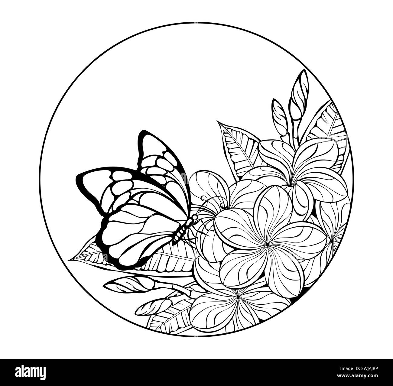 Monogramma rotondo con una farfalla sagomata e disegnata artisticamente, seduta su una fioritura esotica plumeria. Contorno plumeria. Illustrazione Vettoriale