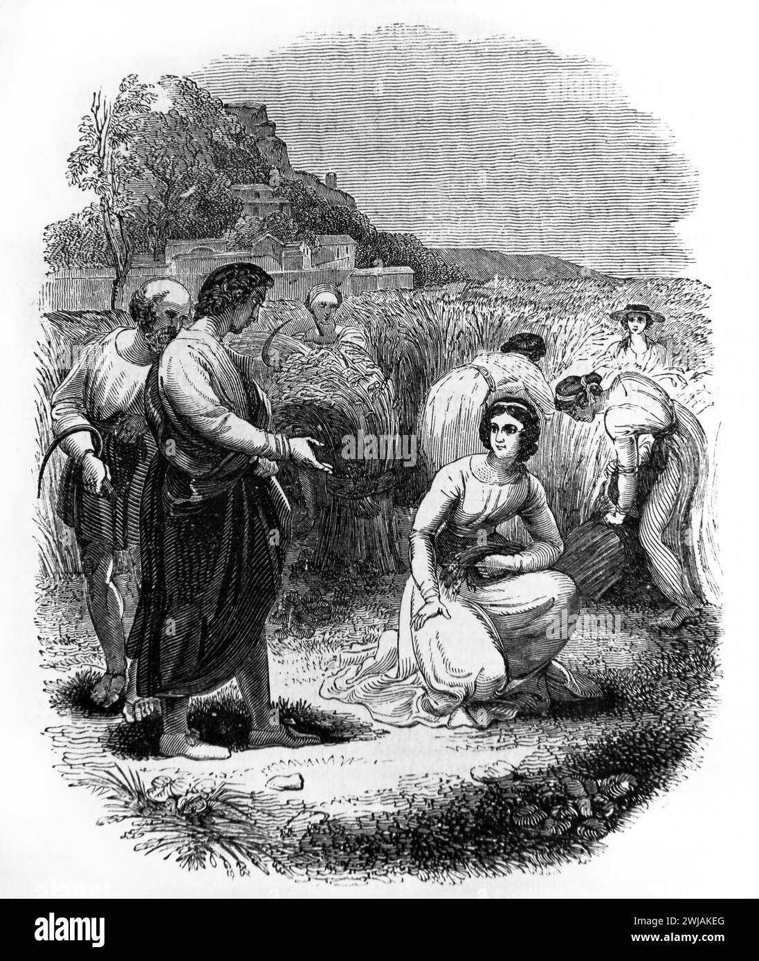 Illustrazione di Ruth che incontra Boaz nel Corn Field Book di Ruth (Ruth XI.10) Antico Testamento illustrato Family Bible Foto Stock