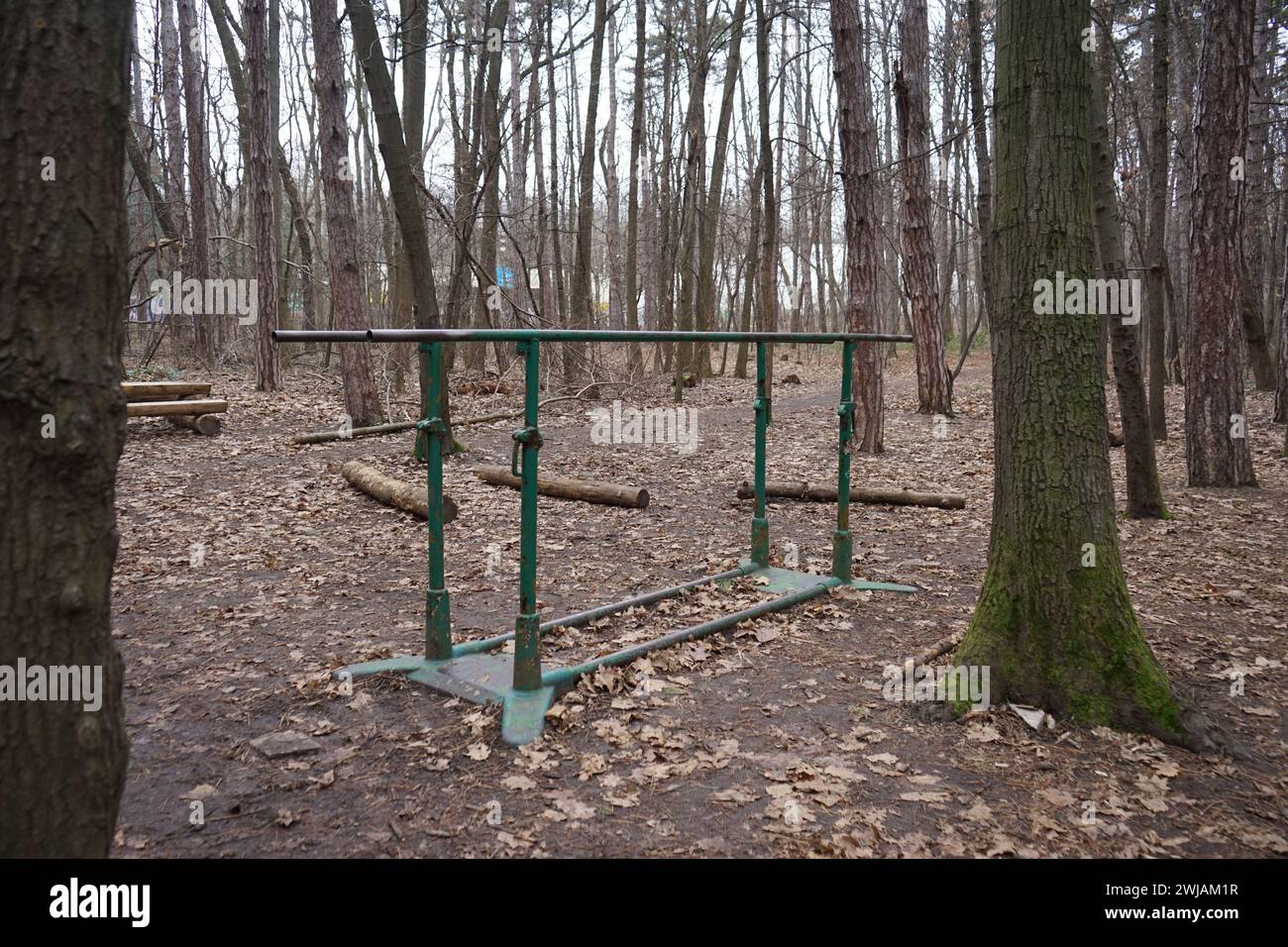 Foto di barre parallele nel bosco Foto Stock