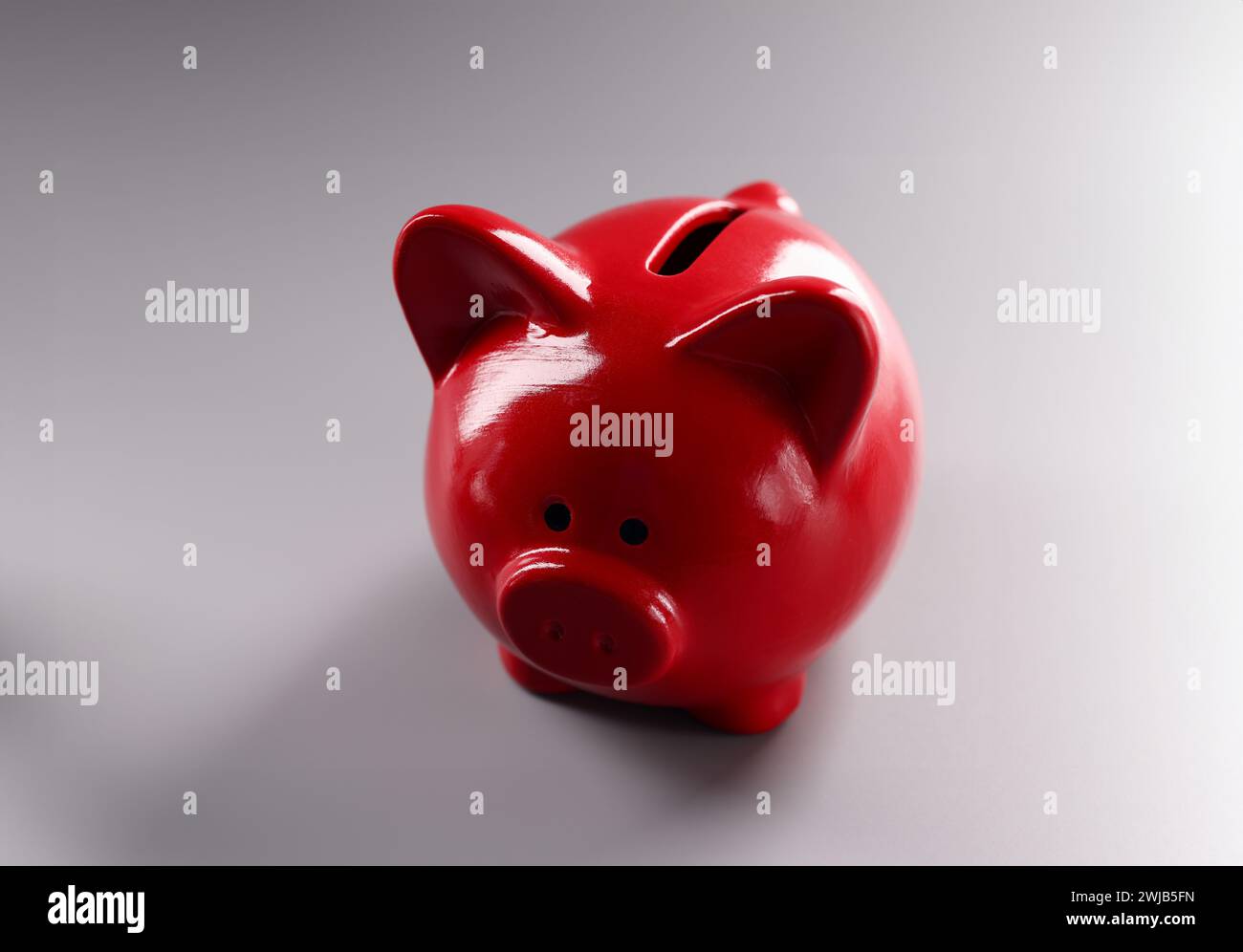 Riva di piggy rossa in piedi su sfondo grigio primo piano Foto Stock