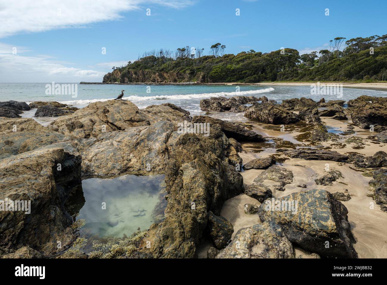 Un cormorano seduto sulle rocce a Lilli Pilli Beach, Batemans Bay, nuovo Galles del Sud, Australia Foto Stock