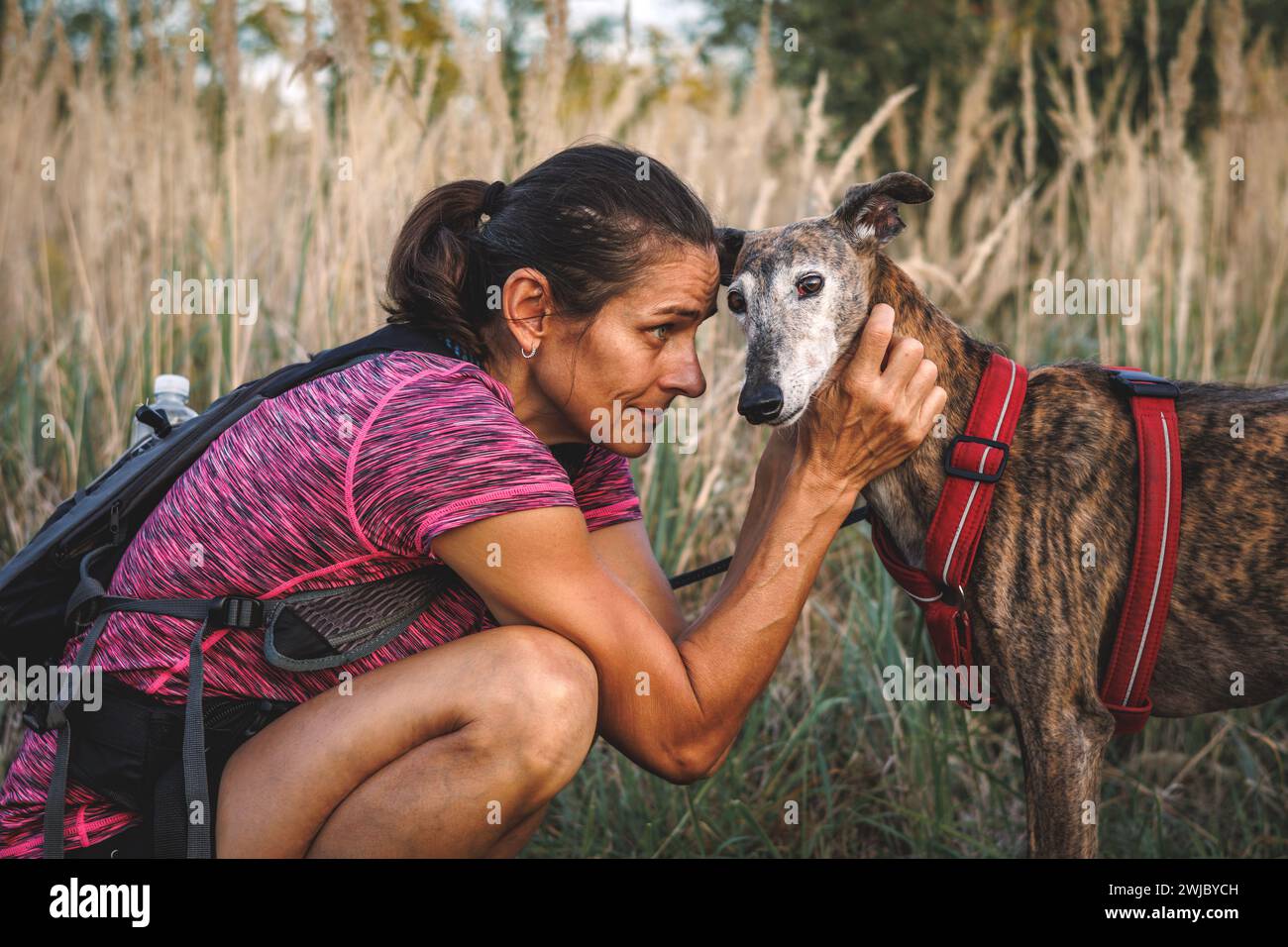 La donna abbraccia amorevolmente il suo vecchio cane. Il proprietario di animali domestici e il cinodromo spagnolo Galgo greyhound durante le passeggiate con i cani all'aperto. Amicizia tra persone e animali Foto Stock
