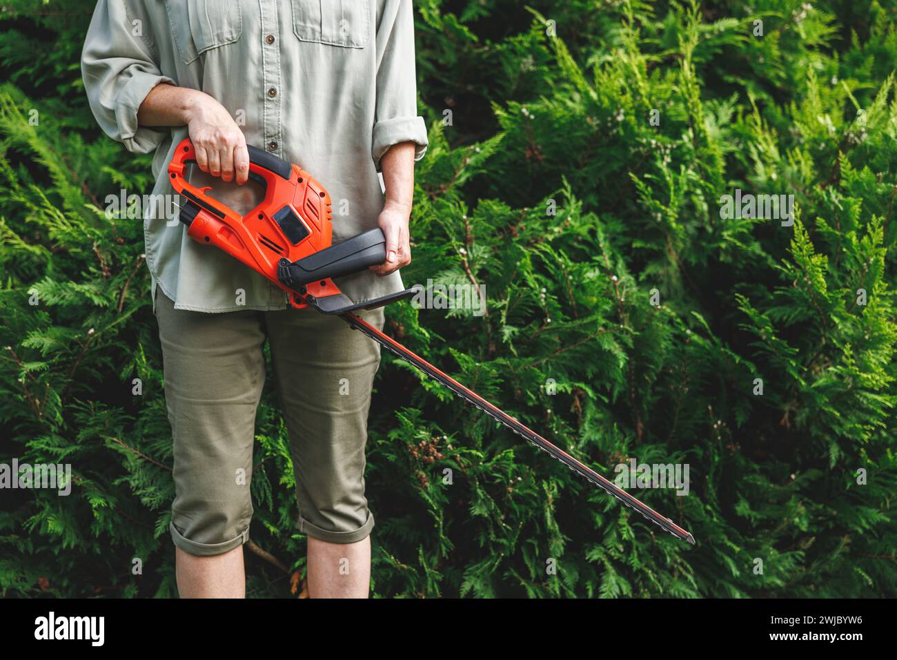 Donna che tiene in mano un tagliasiepi elettrico. Il giardiniere è pronto per la rifilatura di cespugli ricoperti nel cortile posteriore. Attrezzature per il giardinaggio Foto Stock