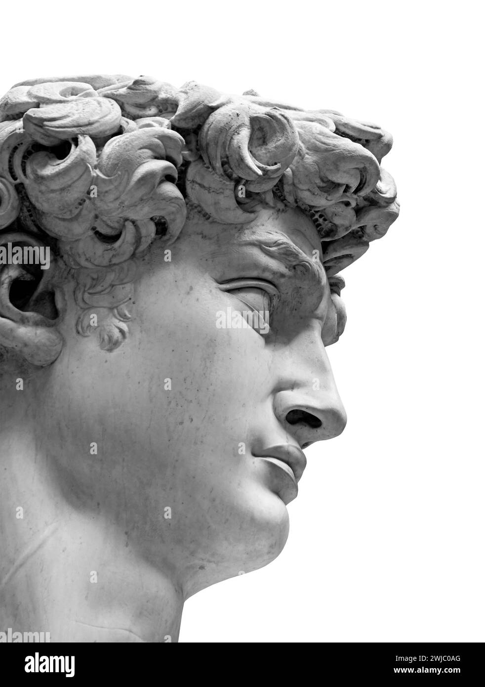La replica del David, statua di Michelangelo isolata su sfondo bianco. Primo piano in testa la foto è scattata in Piazza della Signoria a Firenze, Foto Stock