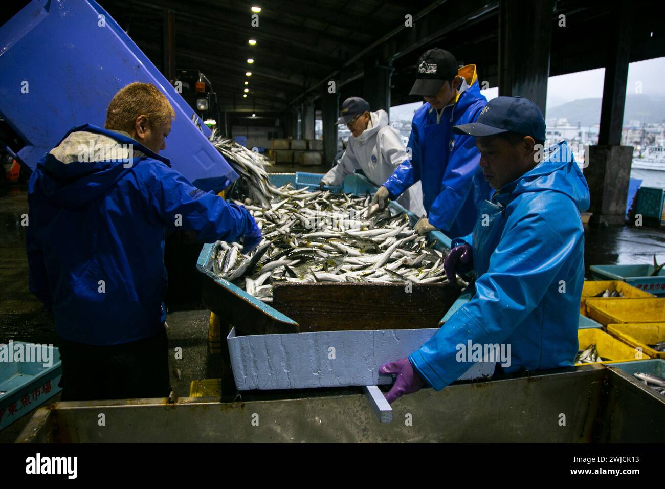 Ito, Giappone; 1 ottobre 2023: Asta di pesce e pescatori che lavorano nel porto di Ito nella prefettura di Shizuoka in Giappone. Foto Stock