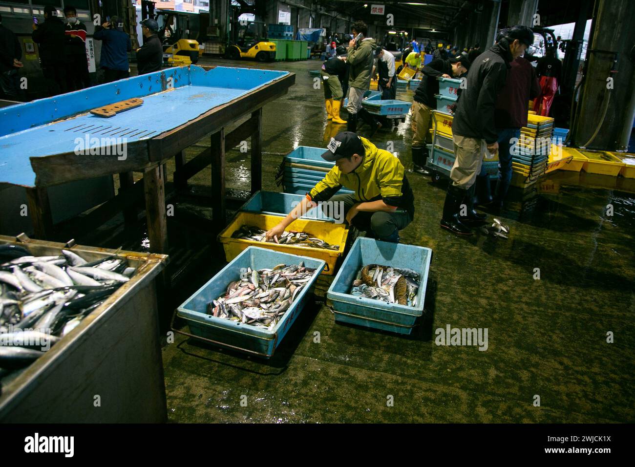 Ito, Giappone; 1 ottobre 2023: Asta di pesce e pescatori che lavorano nel porto di Ito nella prefettura di Shizuoka in Giappone. Foto Stock