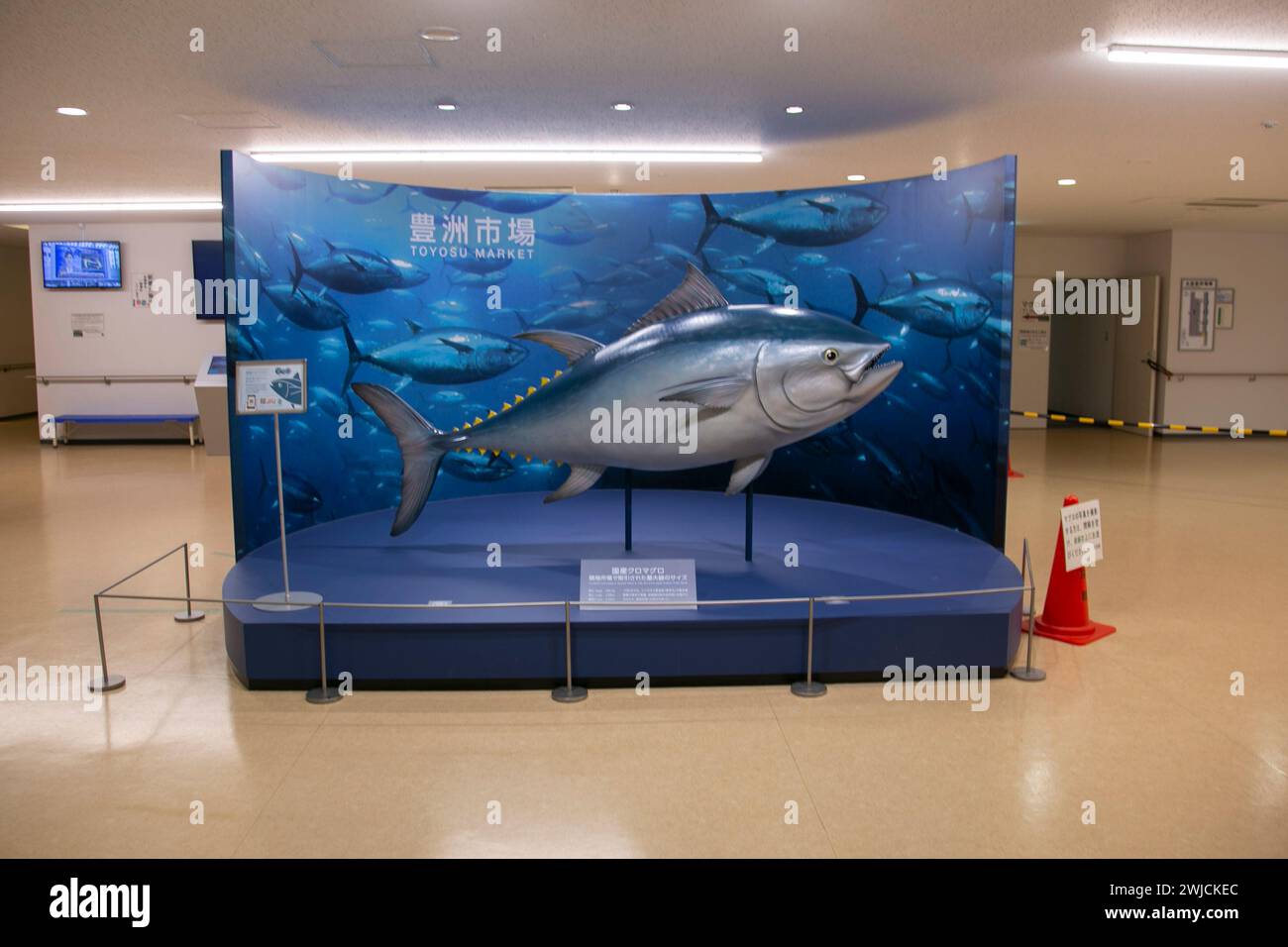 Tokyo, Giappone; 1 ottobre 2023: Elegante e moderno mercato della pesca da Toyosu a Tokyo. Foto Stock