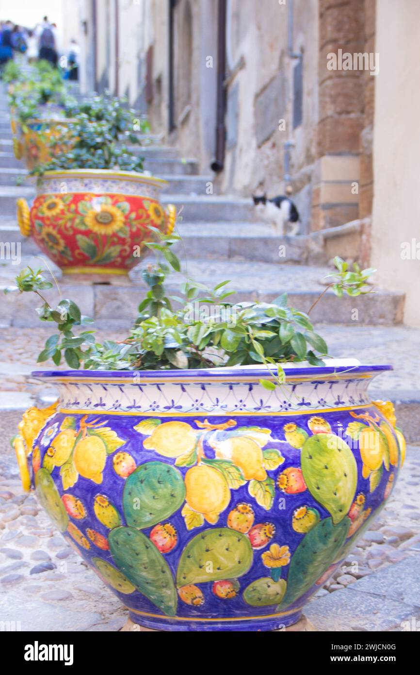 Piantare vasi di fila su una scala a Cefalù, Sicilia, Italia Foto Stock