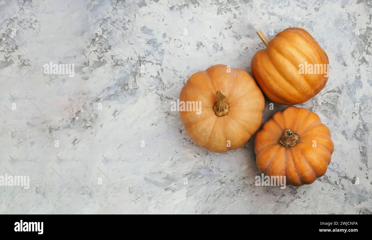 Zucca. Modello autunnale. Composizione autunnale, concetto autunnale. Disposizione piatta, vista dall'alto e spazio di copia. Sfondo del Ringraziamento con zucche. Concetto di ringraziamento Foto Stock