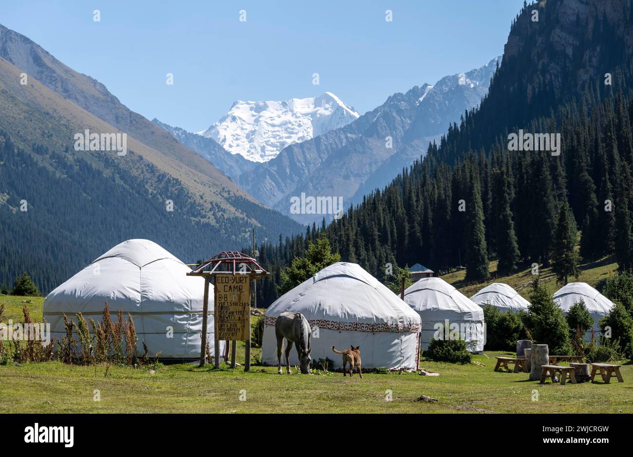 Yurts nella valle di montagna vicino ad Altyn Arashan, Kirghizistan Foto Stock