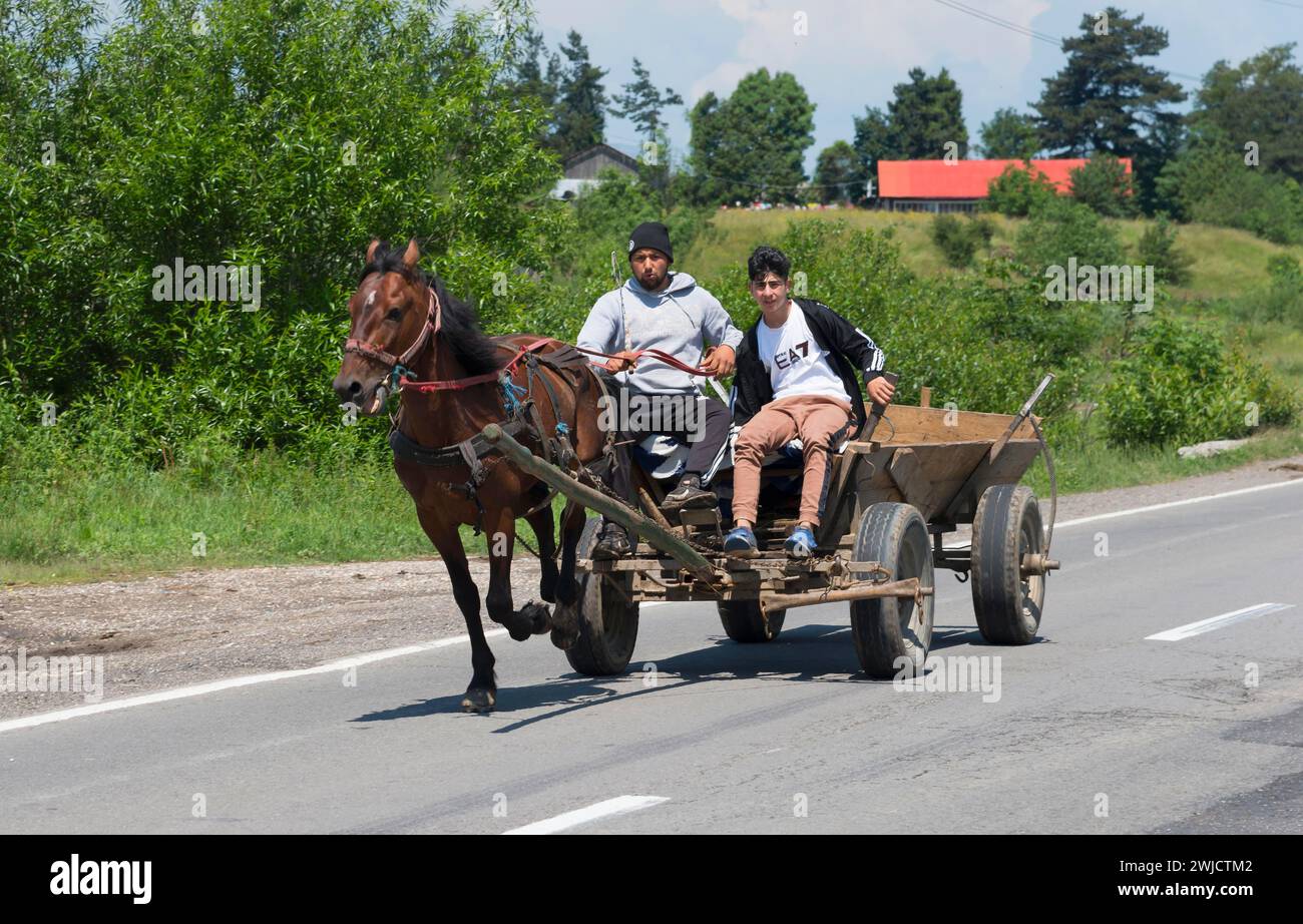 Due uomini che viaggiano su una semplice carrozza trainata da cavalli su una strada di campagna soleggiata, circondata dal verde, Valacchia, Romania Foto Stock