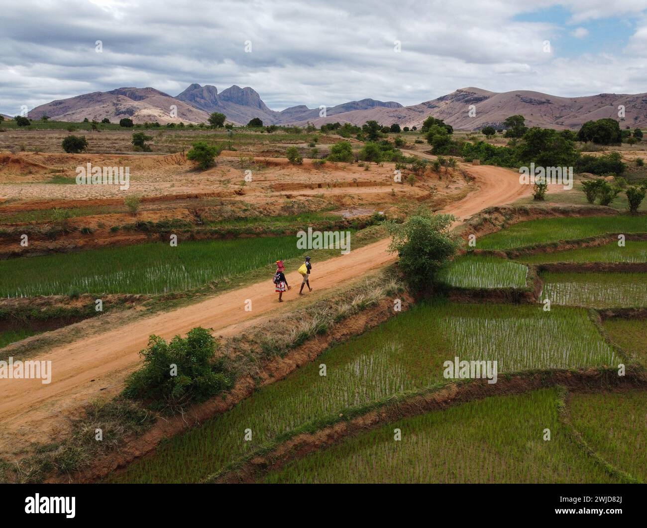 Gente malgascia sulla strada Foto Stock