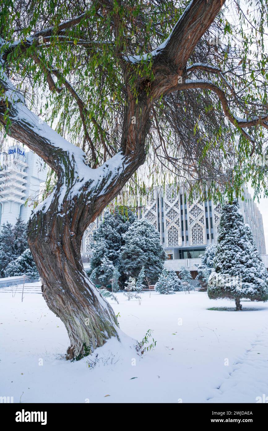 Il museo statale della storia dell'Uzbekistan è stato costruito dopo il terremoto del 1966 in stile cosiddetto modernismo sismico Foto Stock