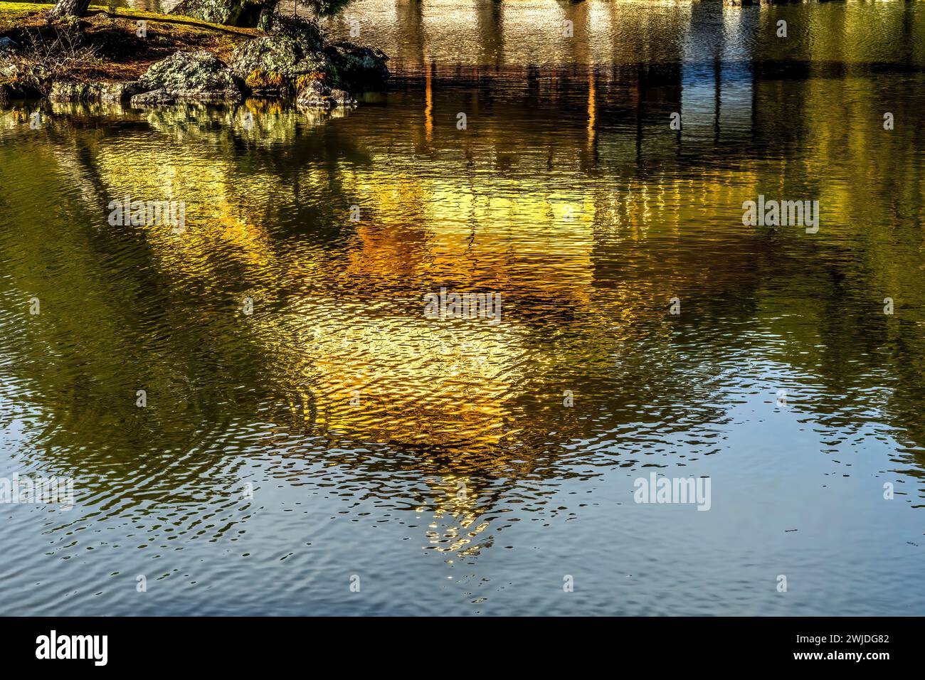 Colorato Giardino della riflessione sull'acqua Kinkaku-Ji Rokuon-Ji Padiglione dorato Parco del Tempio buddista Zen Kyoto Giappone. Risale al 1397, sito Patrimonio dell'Umanità. Foto Stock