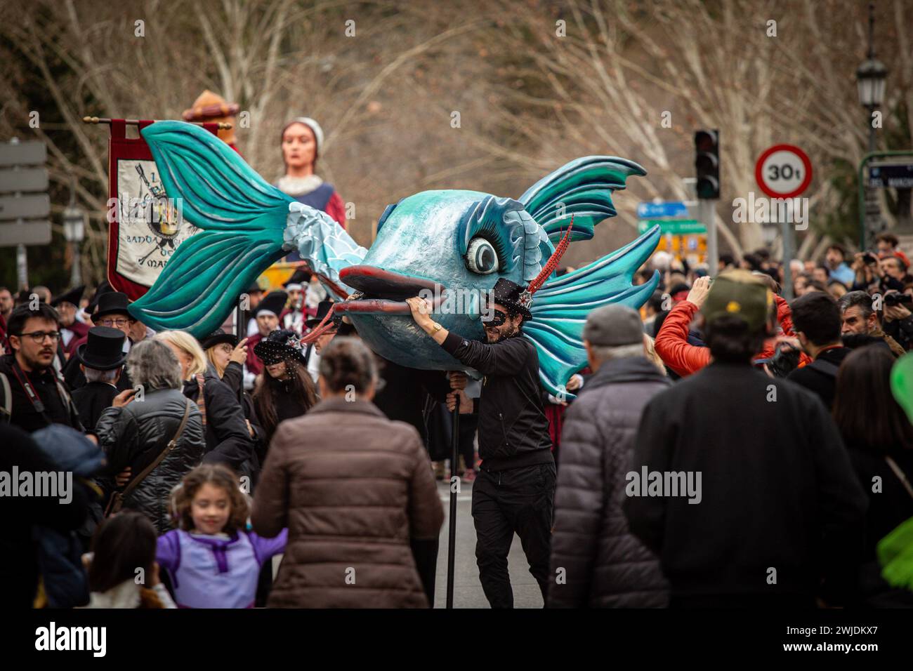 Madrid, Spagna. 14 febbraio 2024. Un gruppo di fratelli della confraternita sardina porta una sardina gigante come supporto durante la celebrazione della sepoltura della parata sardina che ha girato le strade di Madrid. Questo 14 febbraio, mercoledì delle ceneri, ha segnato la fine del Carnevale con la tradizionale sepoltura della sardina. A Madrid, come è tradizione ogni anno, è in carica la "Gioiosa Confraternita della sepoltura della sarda”. Credito: SOPA Images Limited/Alamy Live News Foto Stock