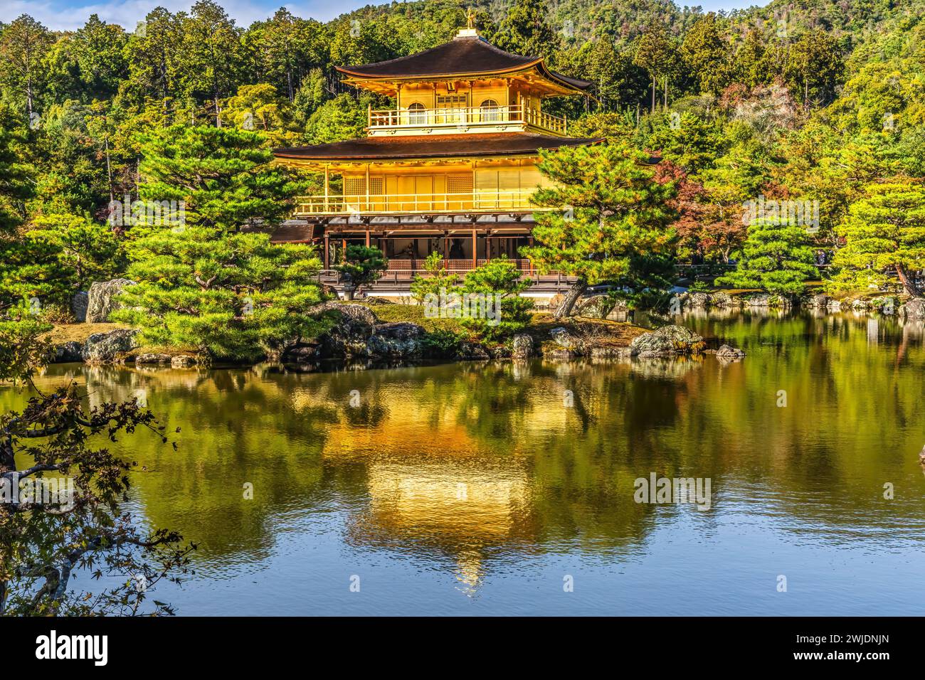 Colorato Kinkaku-Ji Rokuon-Ji Padiglione dorato Tempio buddista Zen Parco Kyoto Giappone. Risale al 1397, costruito da Shogun Ashikaga Yoshimasa e World He Foto Stock