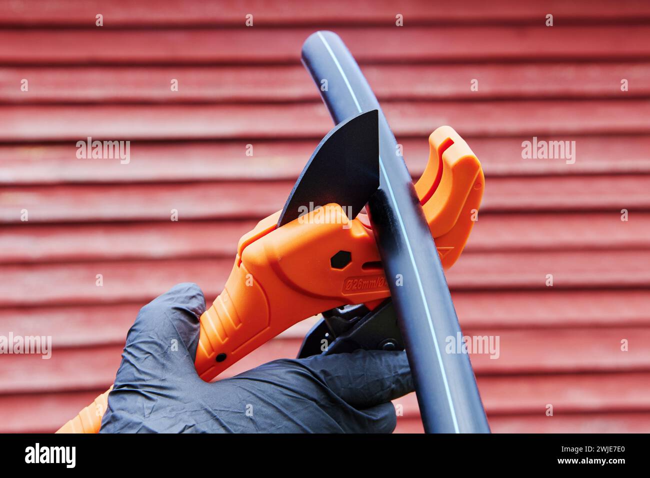 L'idraulico taglia i tubi in HDPE con un tagliatubi a cricchetto, durante l'installazione di tubazioni per acqua potabile e per l'irrigazione, primo piano su sfondo rosso Foto Stock