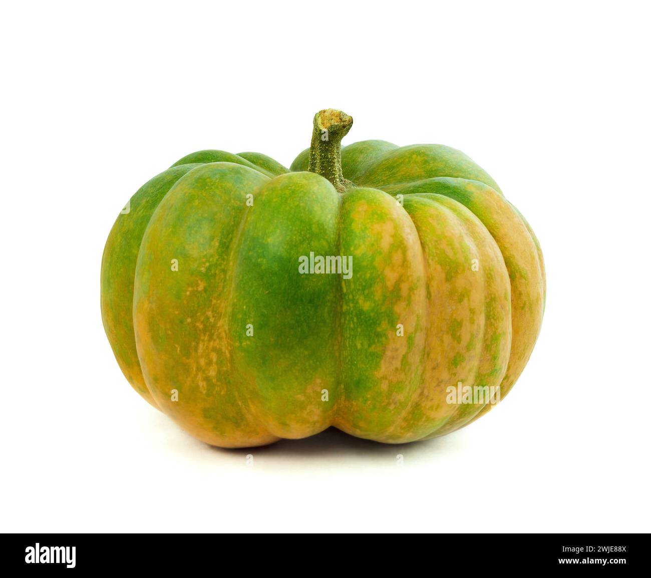 Composizione delle zucche per la decorazione di Halloween. Ricco raccolto di zucche. Zucca su sfondo bianco. per il tuo progetto o progetto. Raccolto autunnale Foto Stock