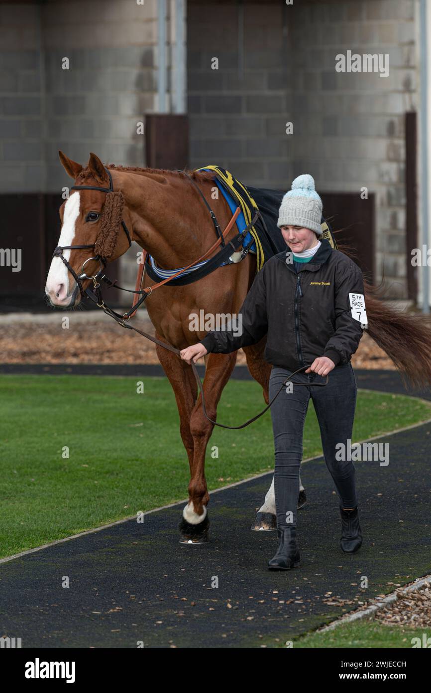 Wincanton Races 19 febbraio 2022 - gara 5 Foto Stock