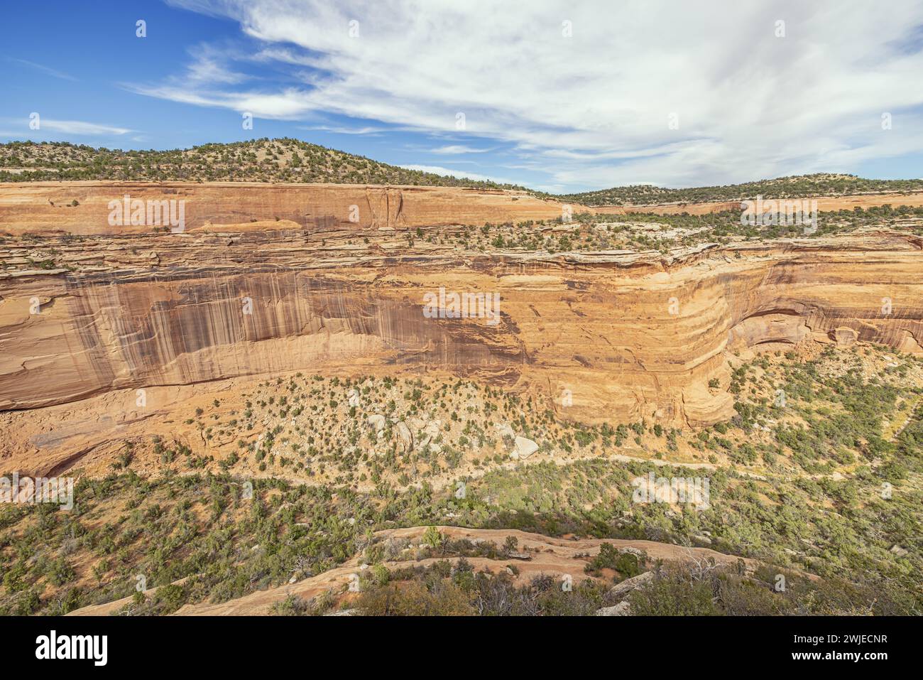 Scogliere arancioni nell'Upper Ute Canyon nel Colorado National Monument Foto Stock