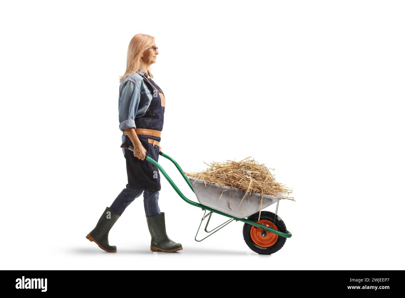 Immagine di un'agricoltrice che cammina con il fieno in una carriola isolata su sfondo bianco Foto Stock