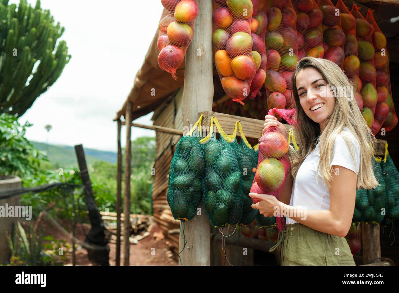 Si vede una donna felice che acquista mango maturo da una bancarella di frutta colorata lungo una strada di campagna in Africa, incarnando la vivacità dei mercati locali. Foto Stock