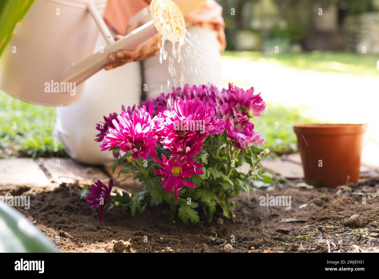 Il giardiniere tende a vibranti fiori all'aperto Foto Stock
