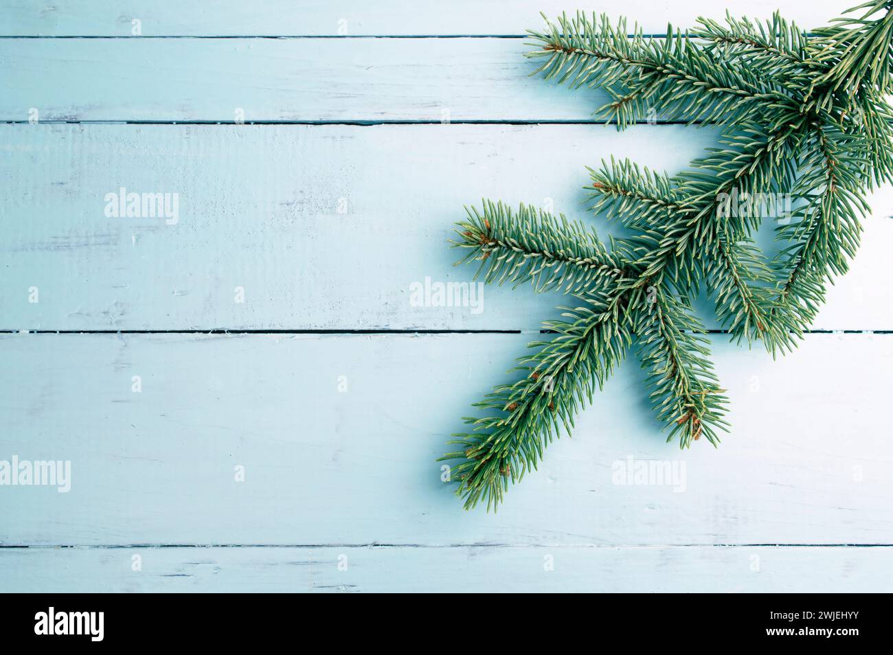 Sfondo natalizio. Abete . Copia spazio. Biglietto natalizio o festivo di Capodanno. Decorazioni di Capodanno con spazio per copie. Sfondo bianco di Natale in legno Foto Stock