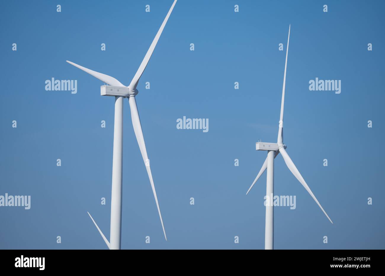 Energia eolica. Energia eolica. Energia sostenibile e rinnovabile. Le turbine eoliche generano elettricità. Parco eolico. Risorse sostenibili. Sviluppo sostenibile. Foto Stock