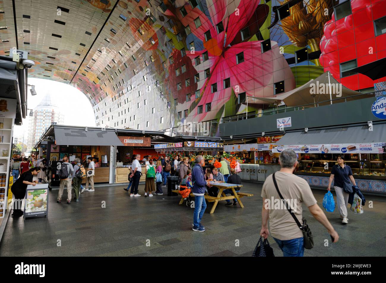 Paesi Bassi, Rotterdam: Il mercato coperto, “Markthal, nel centro della città Foto Stock